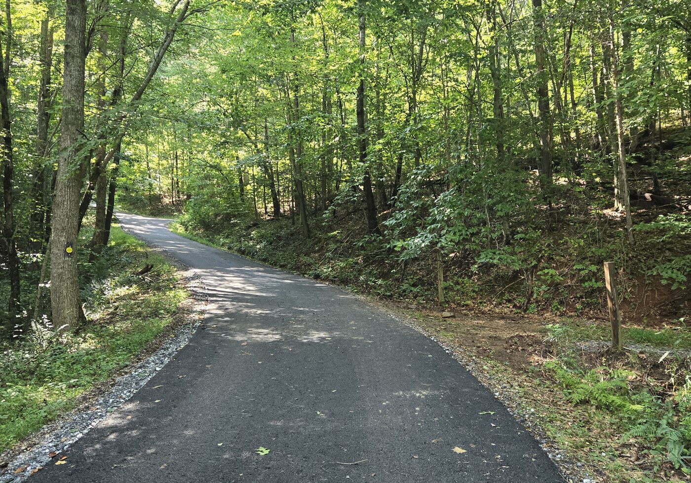 The paved entrance road at Cardinal Mountain Campground near Franklin, NC, climbing away from the gate between gravel shoulders and summer hardwoods