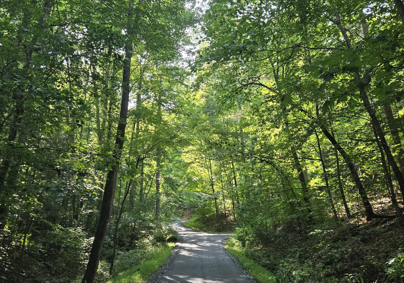 The entrance road at Cardinal Mountain Campground near Franklin, NC, climbing uphill under a closed green canopy of hardwood trees