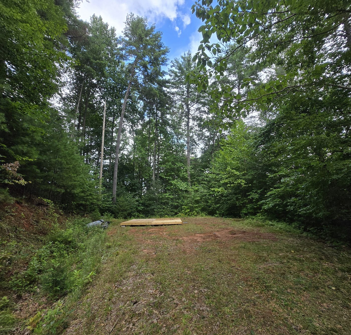 The open clearing at Blue Ridge 1, Cardinal Mountain Campground, rising between the trees with the tent deck at the far end