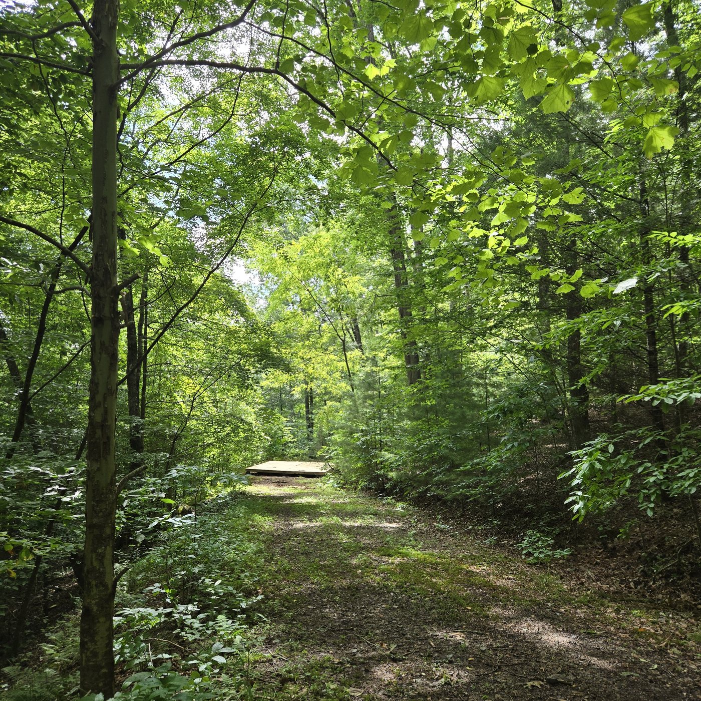 The driveway into Shenandoah 2 at Cardinal Mountain Campground, deck visible at the end