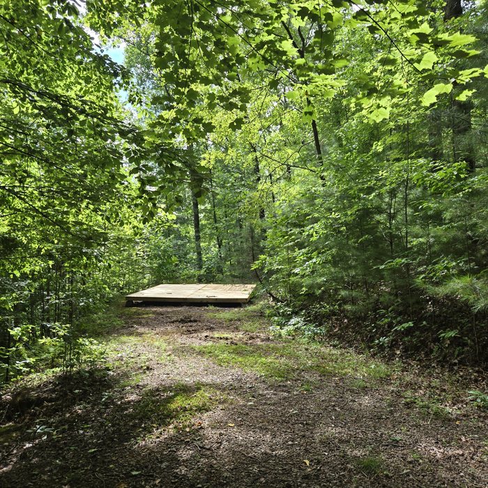 Shenandoah 2 at Cardinal Mountain Campground