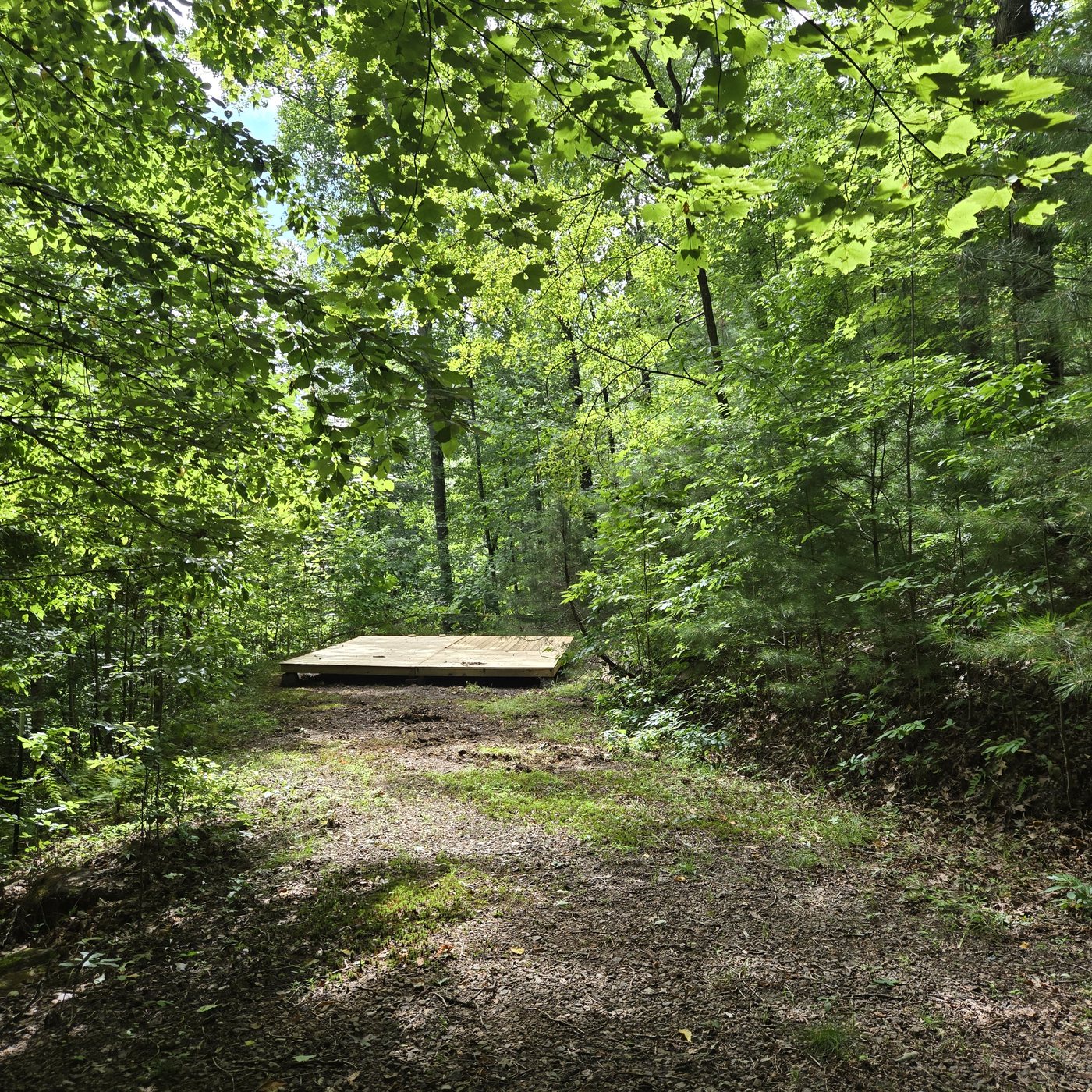 The clearing and tent deck at Shenandoah 2, Cardinal Mountain Campground