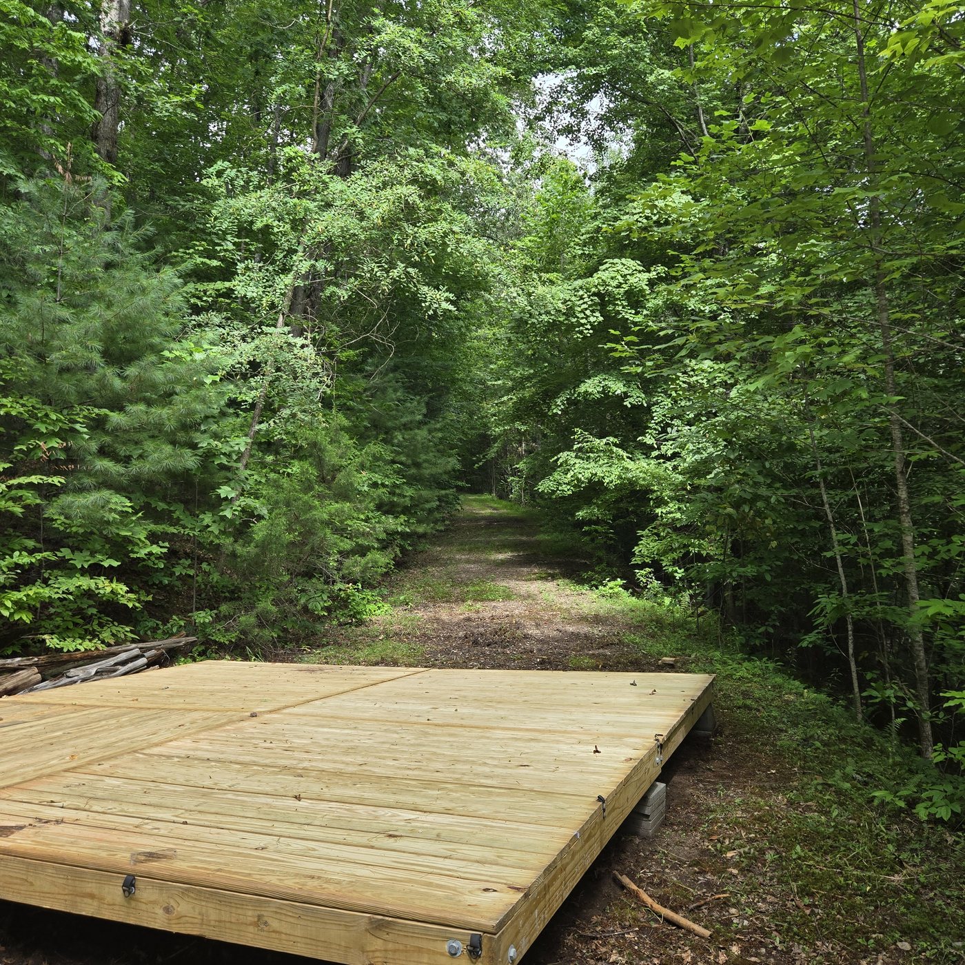 The view down the driveway from the tent deck at Shenandoah 2, Cardinal Mountain Campground