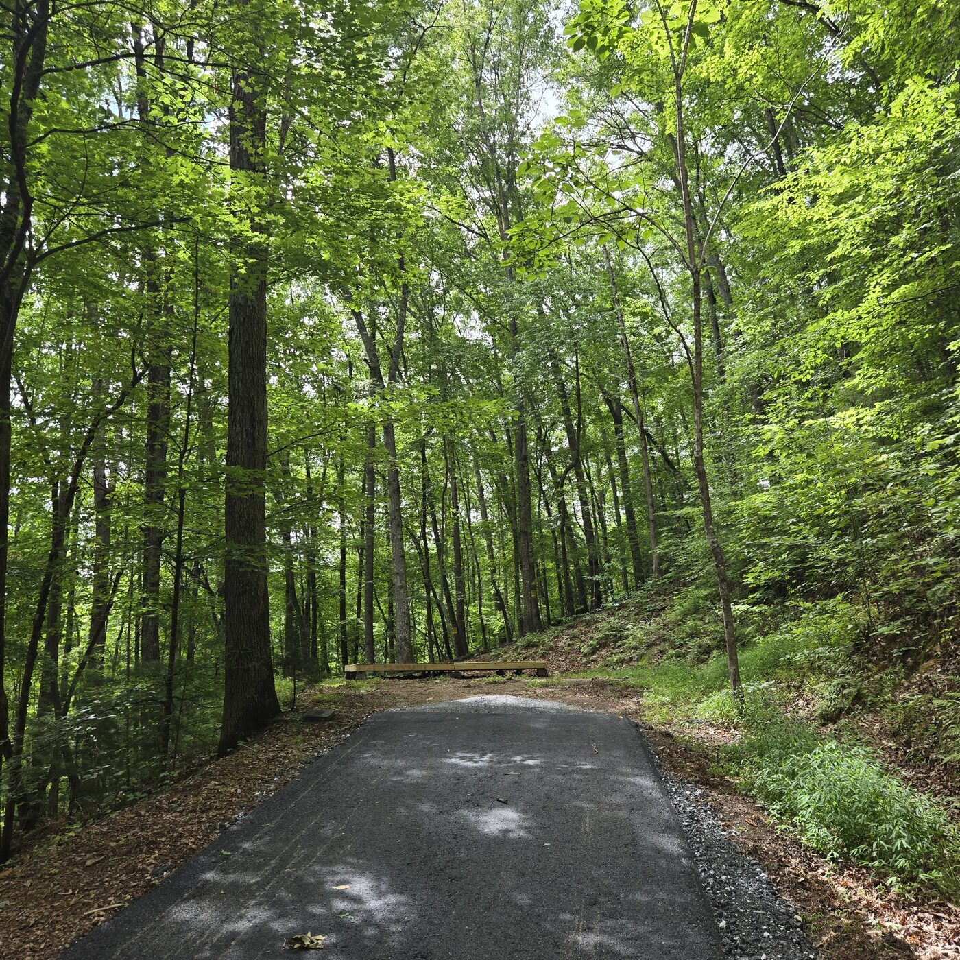 The paved road ending at Everglades 3 at Cardinal Mountain Campground, deck visible off to the left