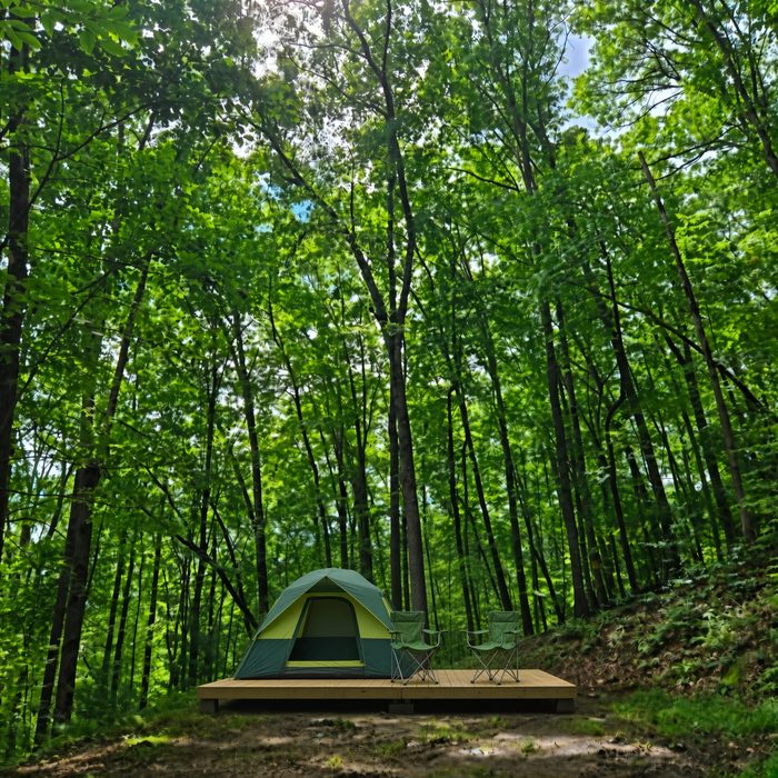 Everglades 3 at Cardinal Mountain Campground