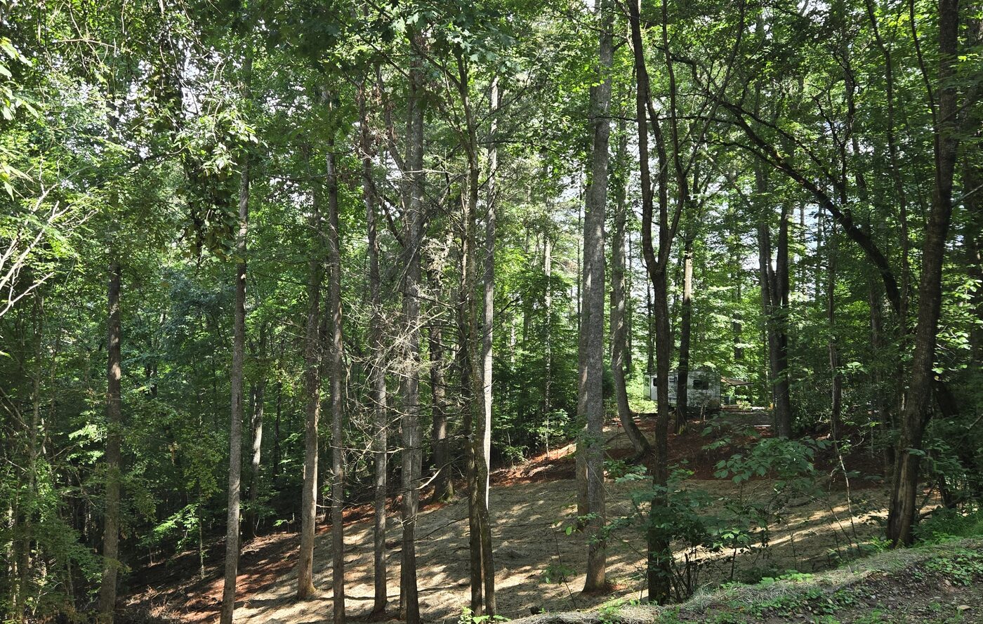 The cleared field alongside Yosemite 5 at Cardinal Mountain Campground