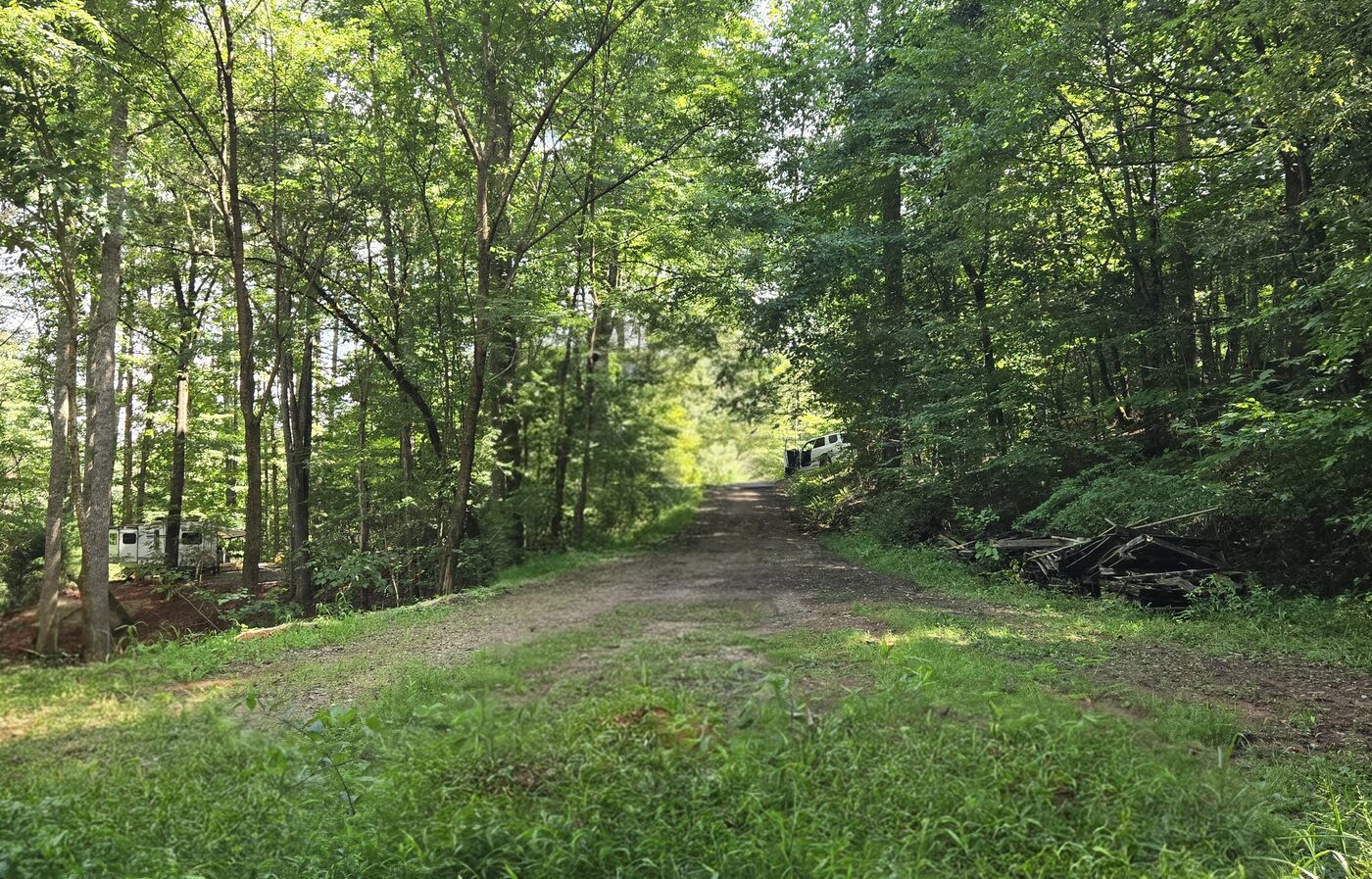 The open ground at Yosemite 5, Cardinal Mountain Campground, with the road running past