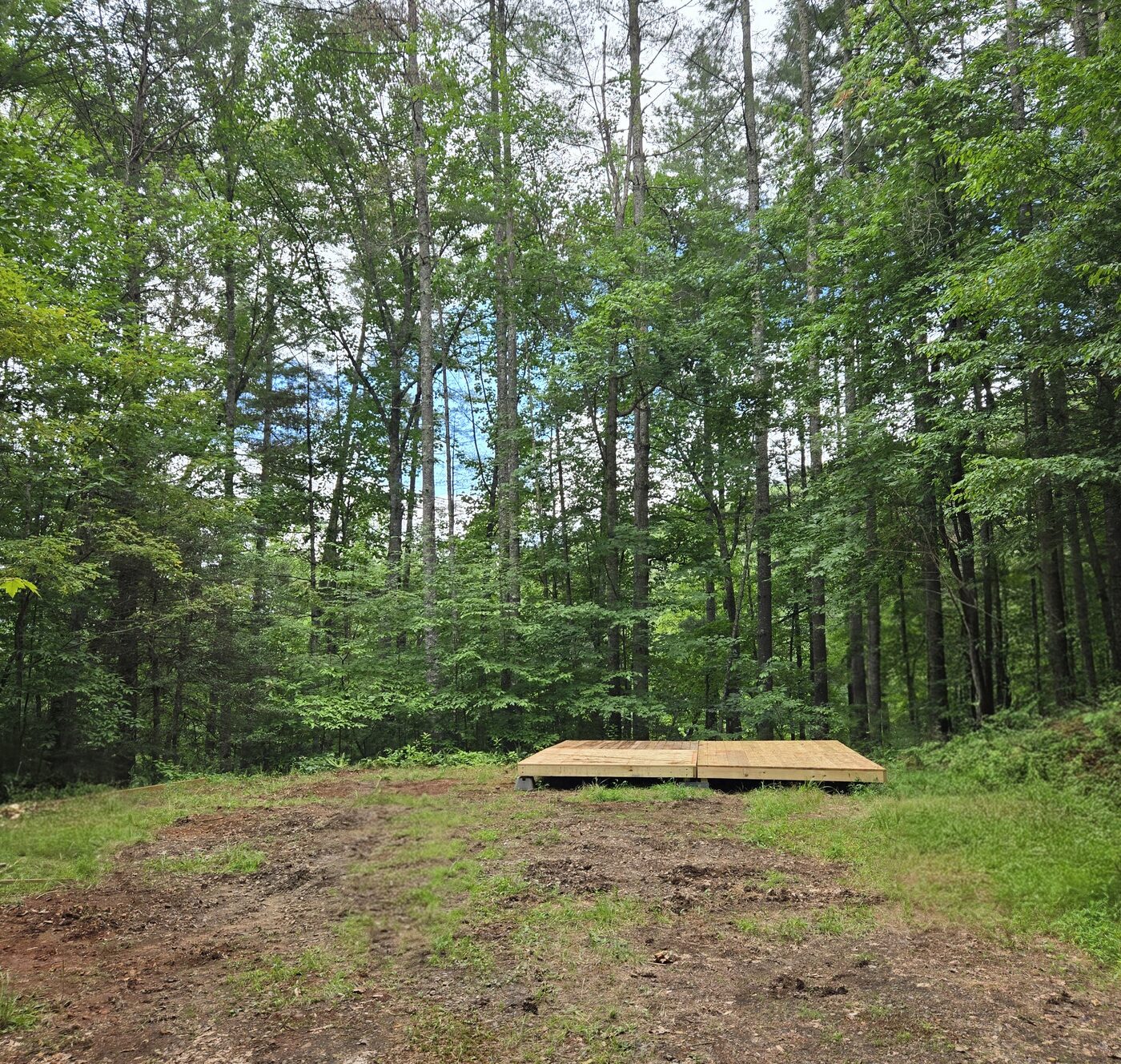 The wide clearing at Glacier 6, one of the three largest campsites at Cardinal Mountain Campground