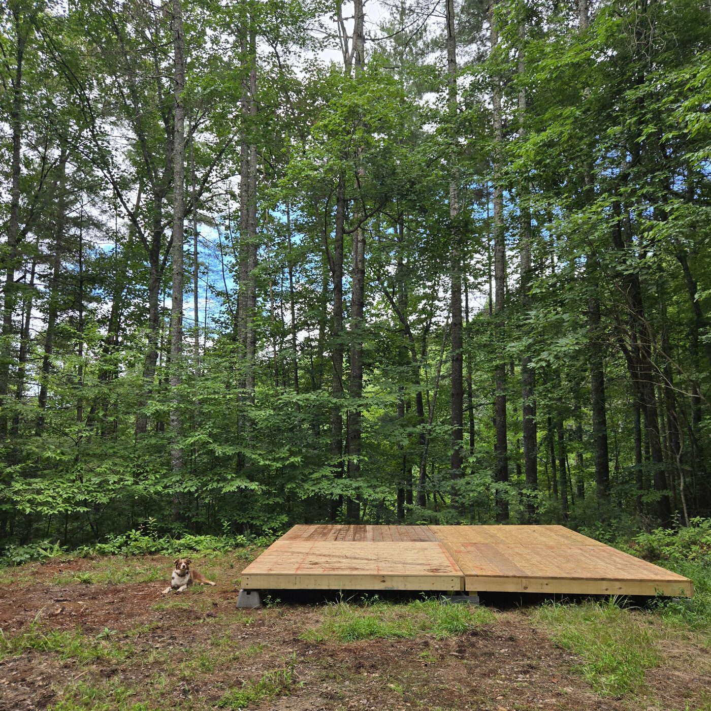 The tent deck at Glacier 6, Cardinal Mountain Campground, ringed by tall trees
