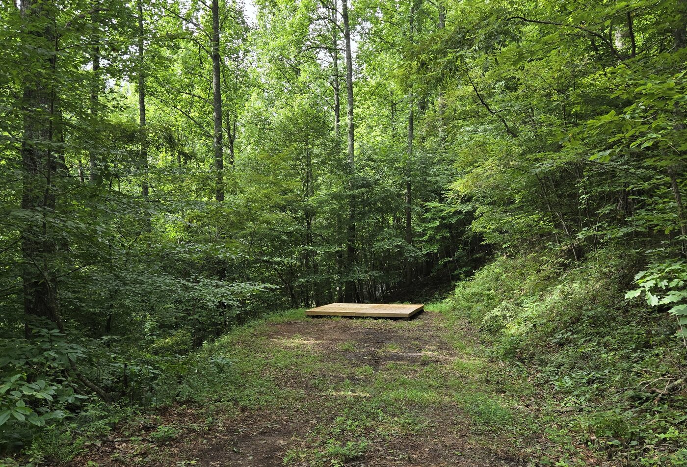 The driveway into Zion 8 at Cardinal Mountain Campground, running back through the trees to the deck