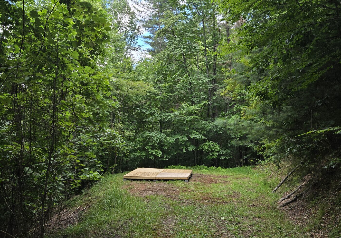 The clearing at Redwood 12, Cardinal Mountain Campground, ringed by summer trees