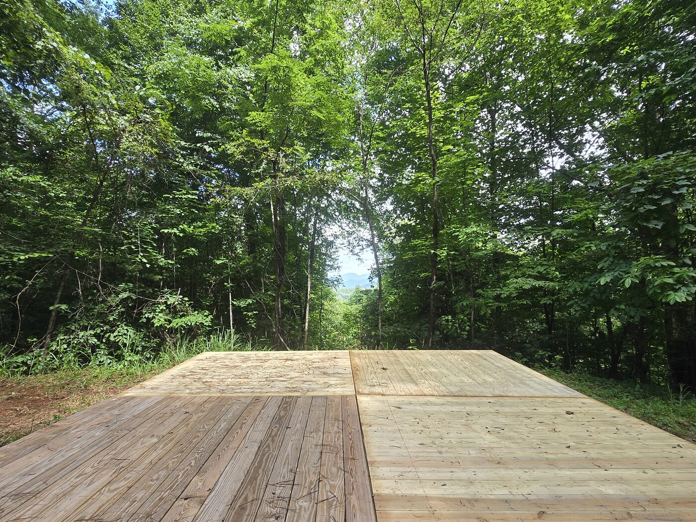 The tent deck at Redwood 12, Cardinal Mountain Campground, with the opening in the trees beyond it
