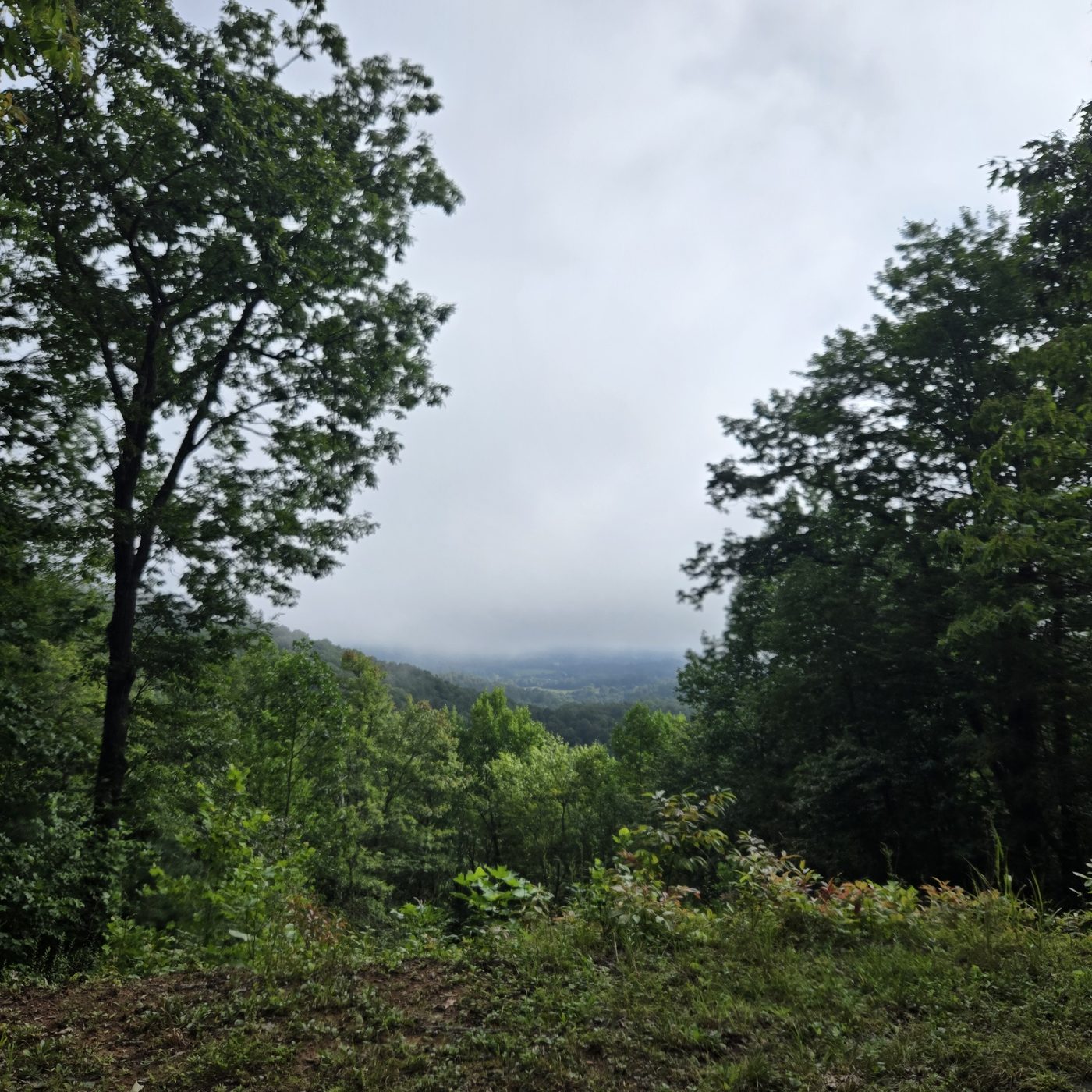 The view from Big Bend 14 at Cardinal Mountain Campground, trees framing a broad valley under low cloud