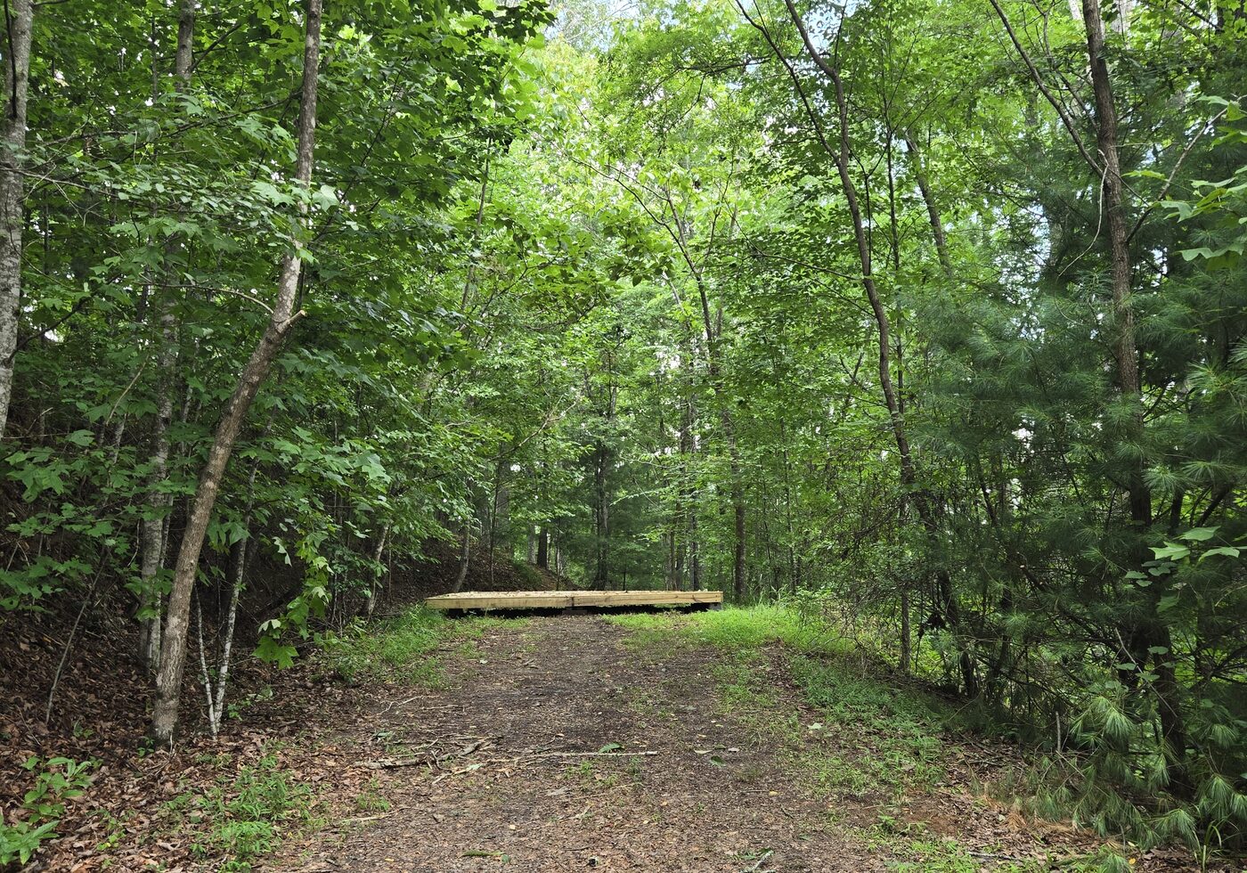 The driveway leading in to Pisgah 16 at Cardinal Mountain Campground, the quietest corner of the property