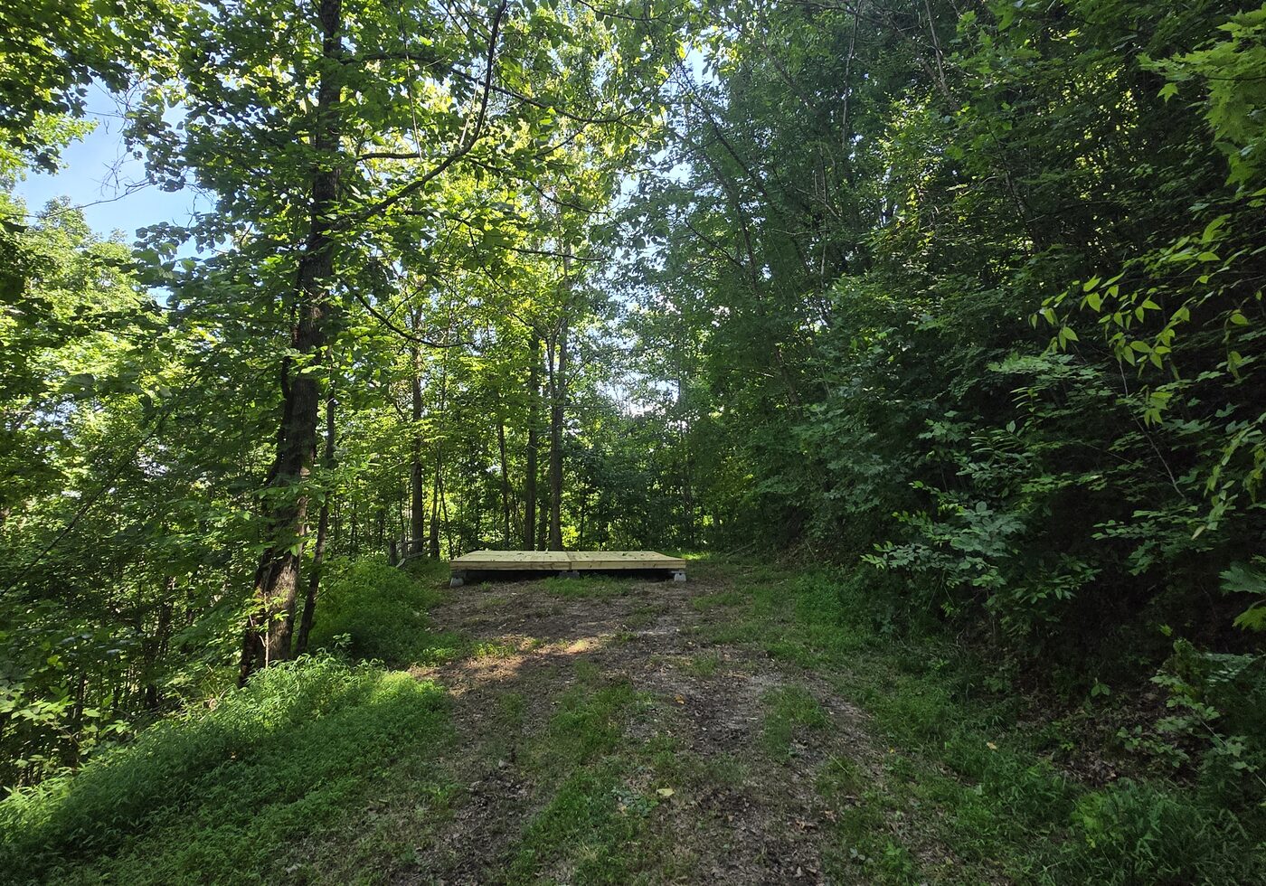 The driveway leading up to Smokies 17 at Cardinal Mountain Campground, paved the whole way