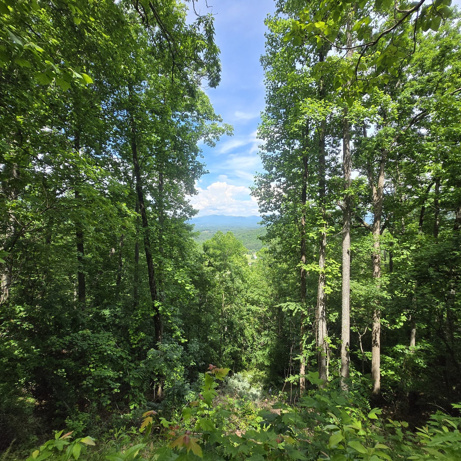 The view from campsite Nantahala 10 at Cardinal Mountain Campground, a gap in the trees opening onto the mountains