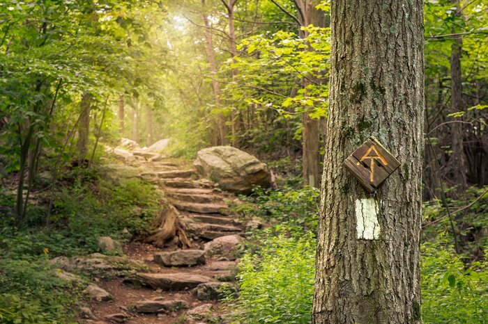 A footpath through summer woods near Franklin, North Carolina, an official Appalachian Trail Community