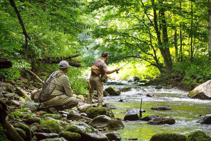 A trout stream running through the mountains near Franklin, North Carolina, close to Cardinal Mountain Campground